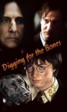 Digging for the Bones (ЛП)