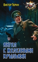 Ангел с железными крыльями (СИ)